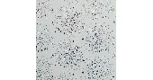 УТ-00010059