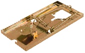 УТ-00010643