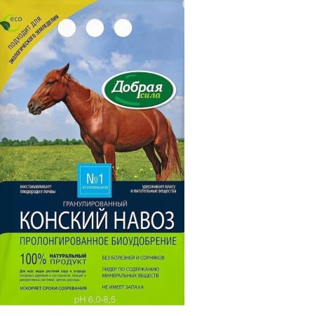 УТ-00011386